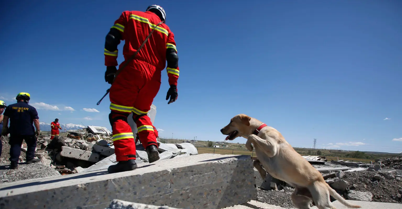 Mexico sends its search and rescue dogs to Turkey following devastating earthquakes