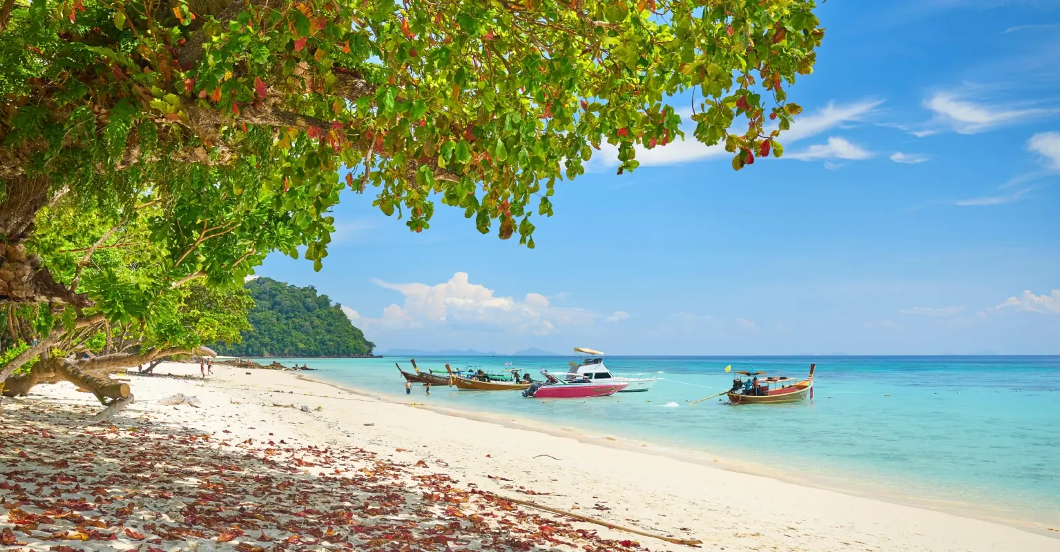 Viewers urge 70-year-old woman to leave husband over his unexplained Thailand trips