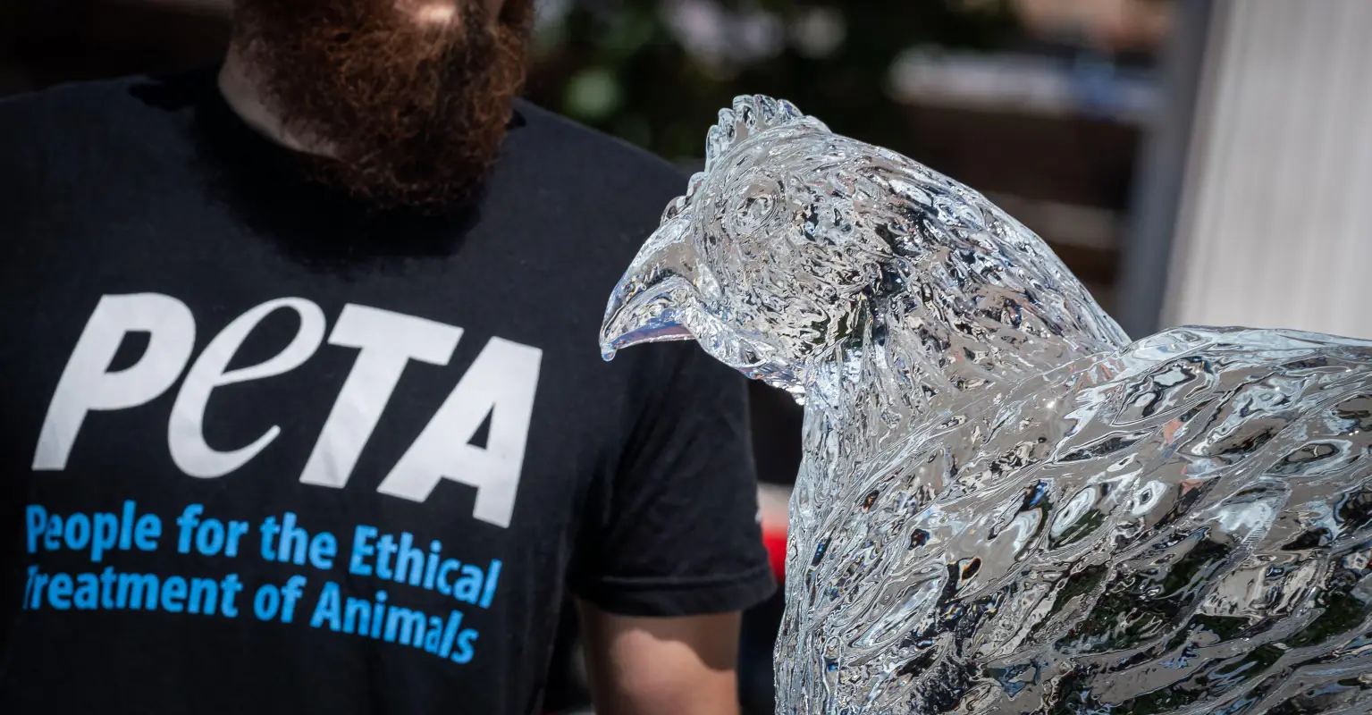 PETA urges 'Good Burger' sequel to feature vegan burgers instead of meat