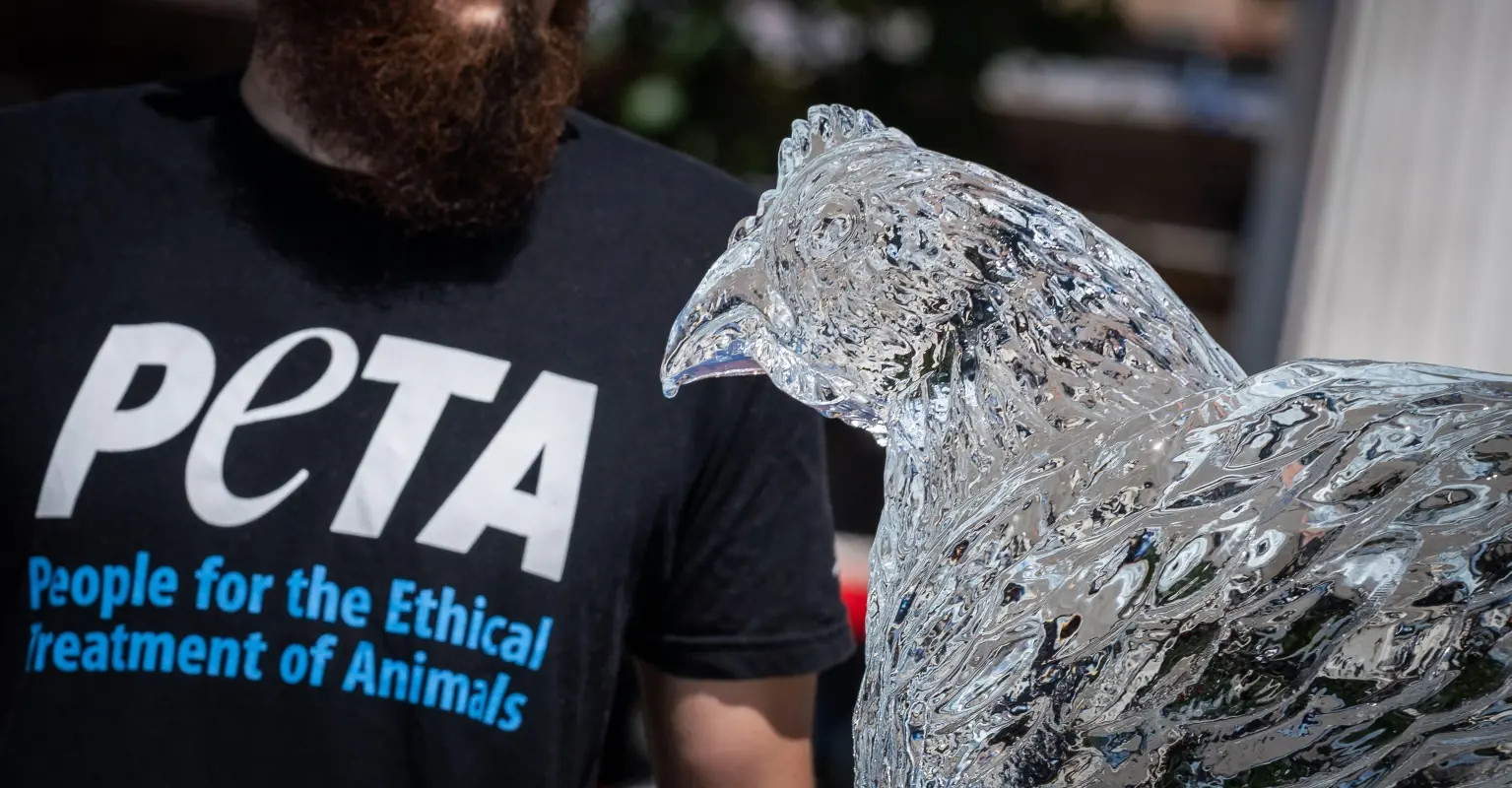 PETA urges 'Good Burger' sequel to feature vegan burgers instead of meat