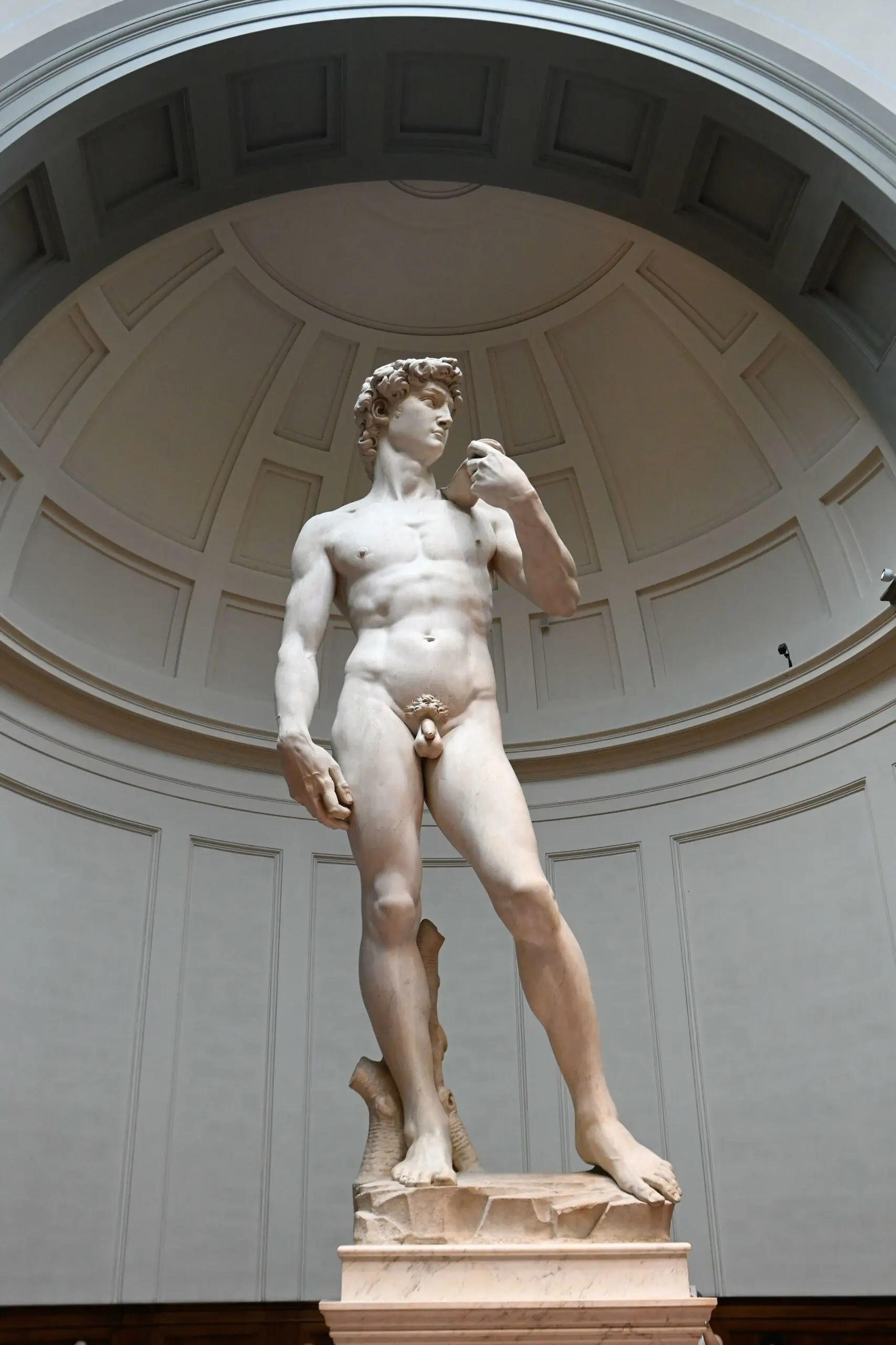 size-full wp-image-1263202375