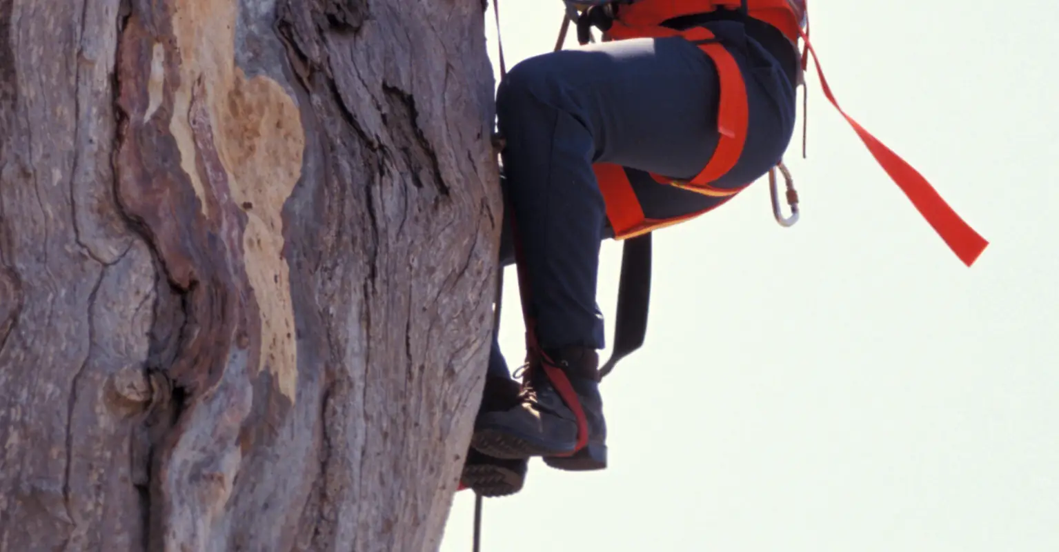 Instructor plunges to his death while abseiling in front of students