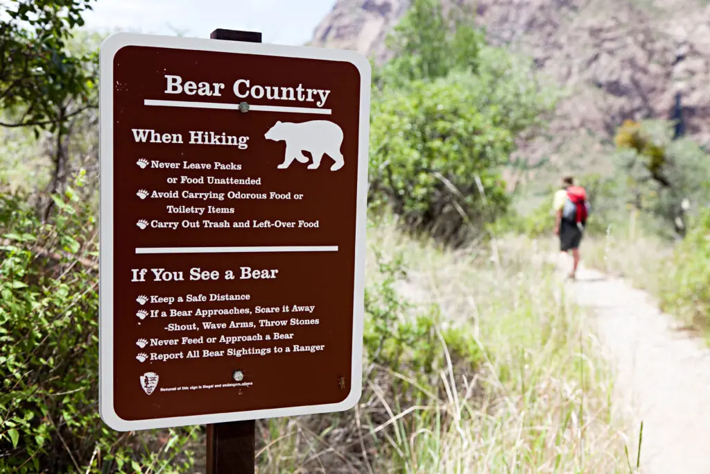 wp-image-1263198523 size-large