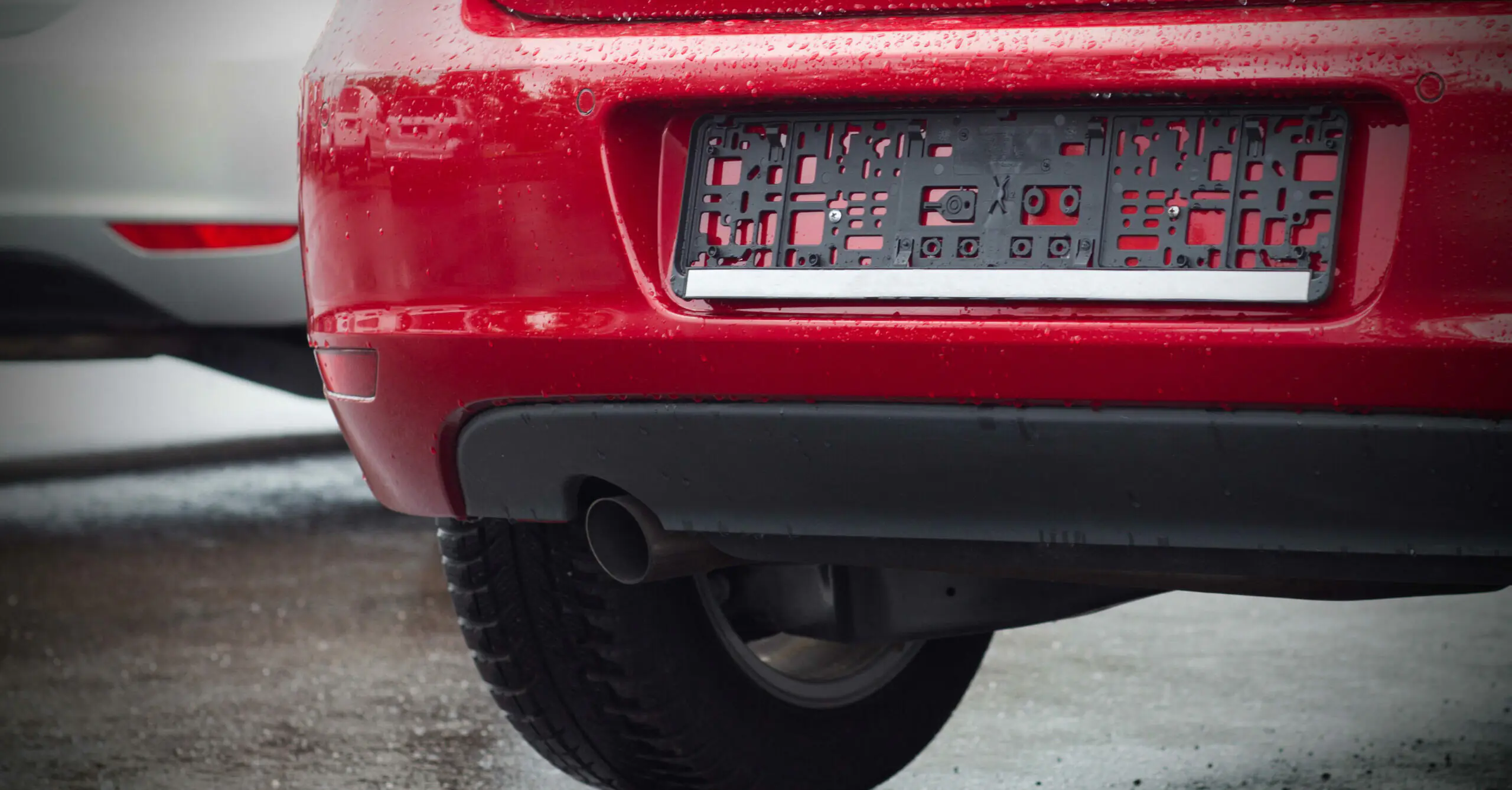 Vegan driver's license plate is recalled after state officials deem it too vulgar to be on the road