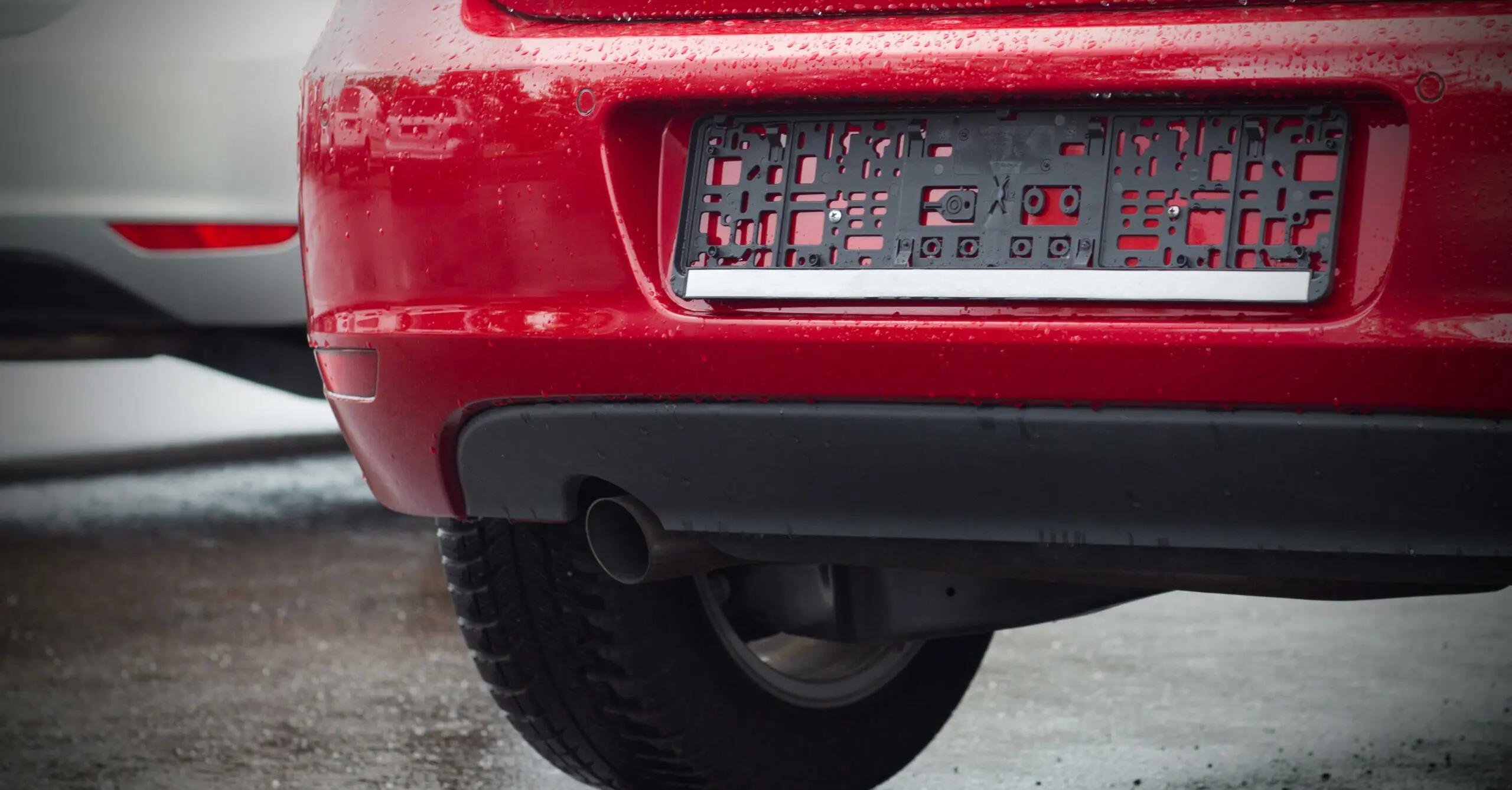 Vegan driver's license plate is recalled after state officials deem it too vulgar to be on the road