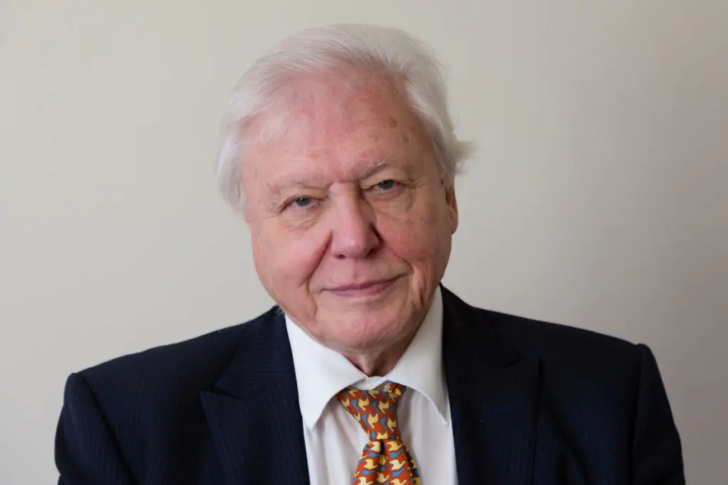 wp-image-1263204014 size-large