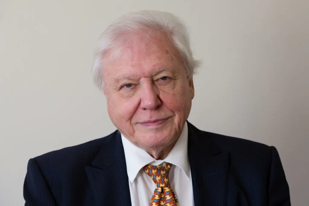 wp-image-1263204014 size-large