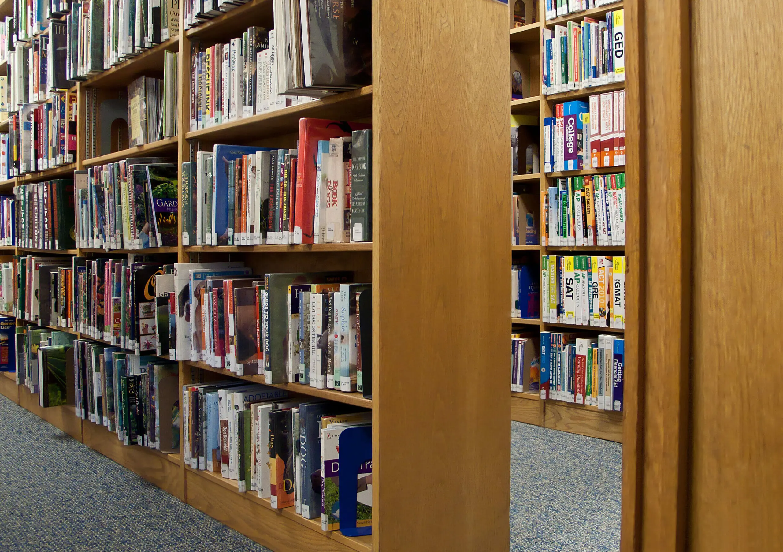 wp-image-1263198088 size-full