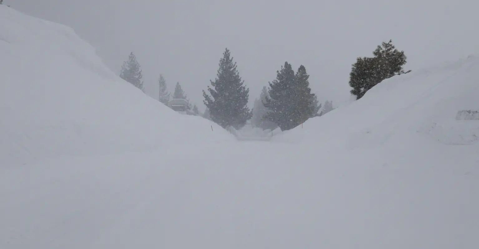 Man, 81, survived being trapped in snowstorm by eating only snow and croissants for a week