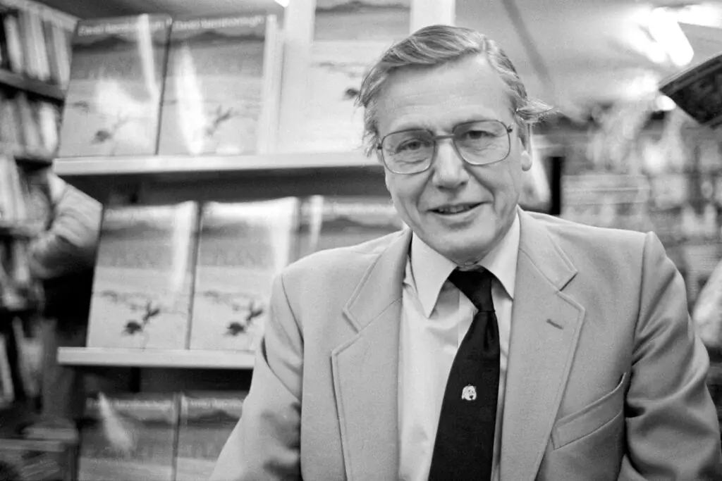 wp-image-1263204012 size-large