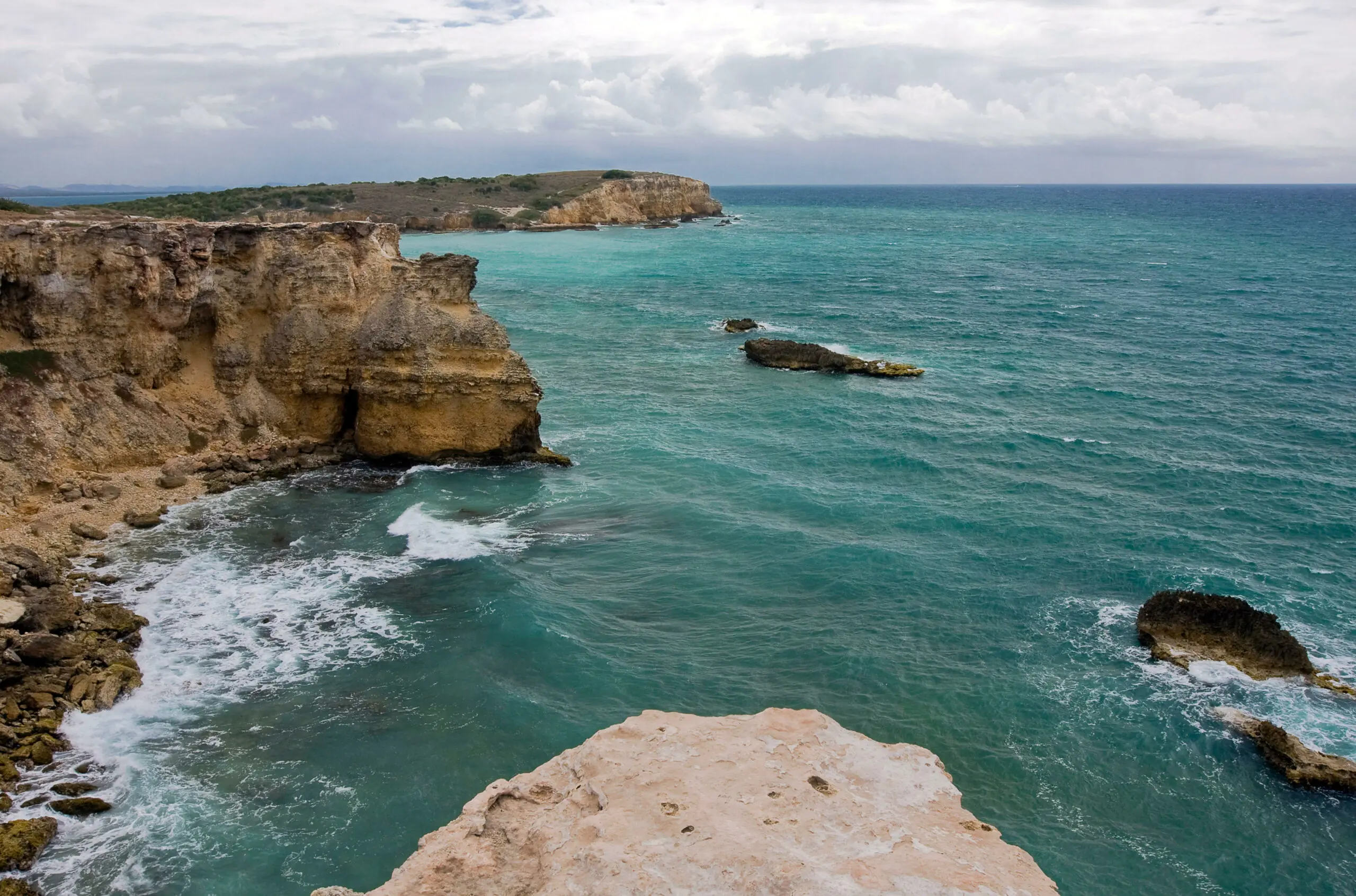 size-full wp-image-1263201943