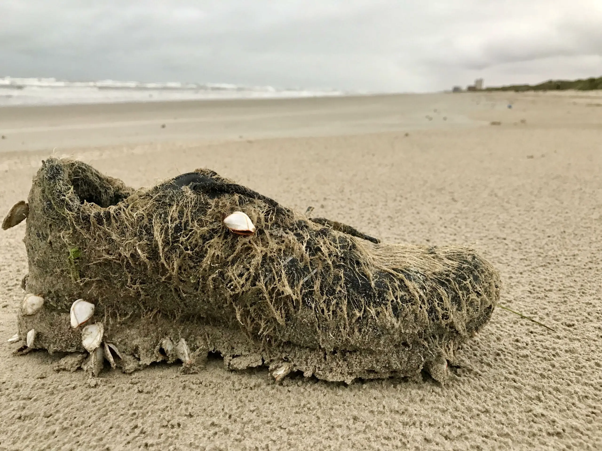 wp-image-1263203182 size-full