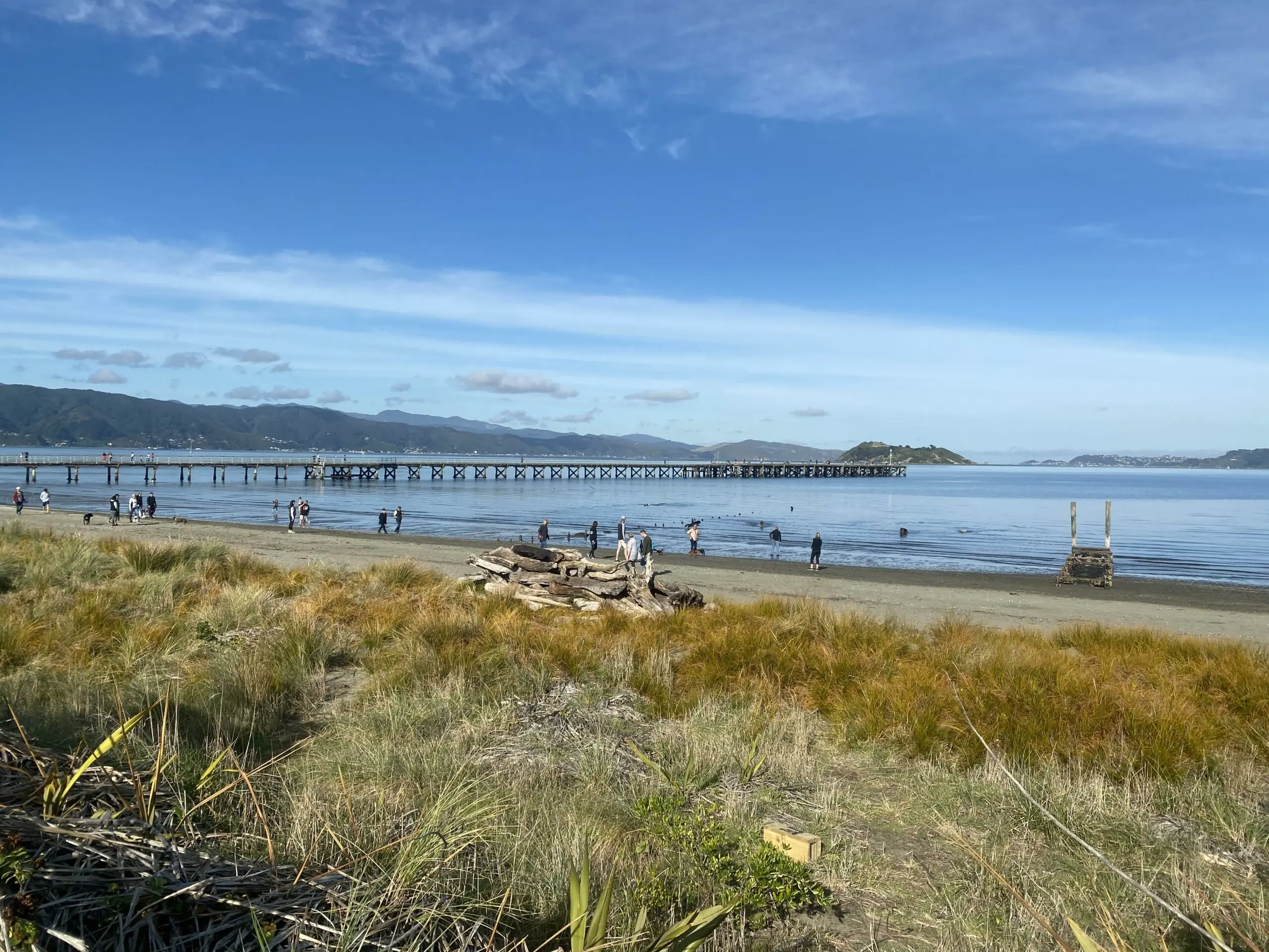 wp-image-1263203162 size-full