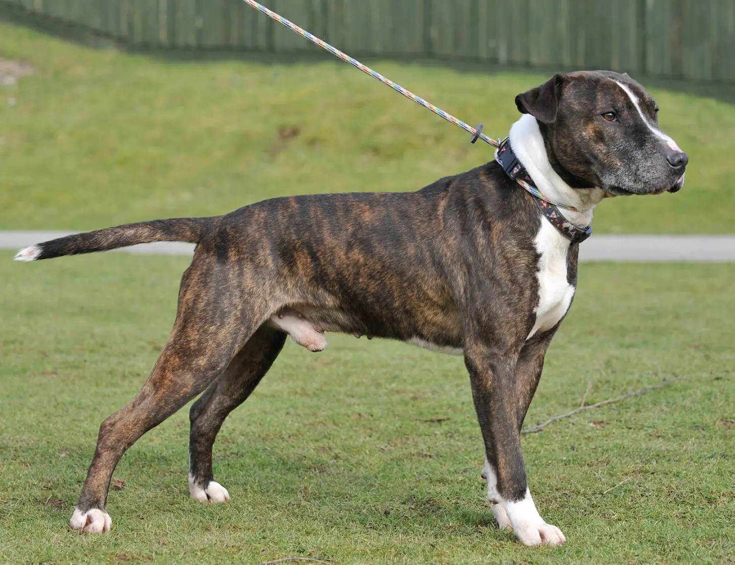 wp-image-1263197919 size-full