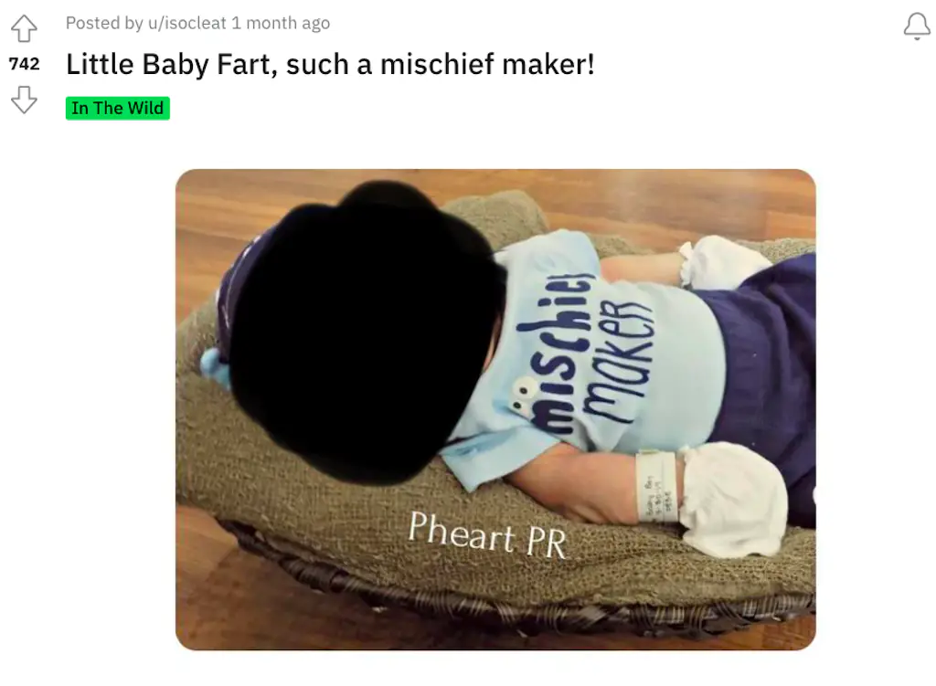 size-full wp-image-1263198240