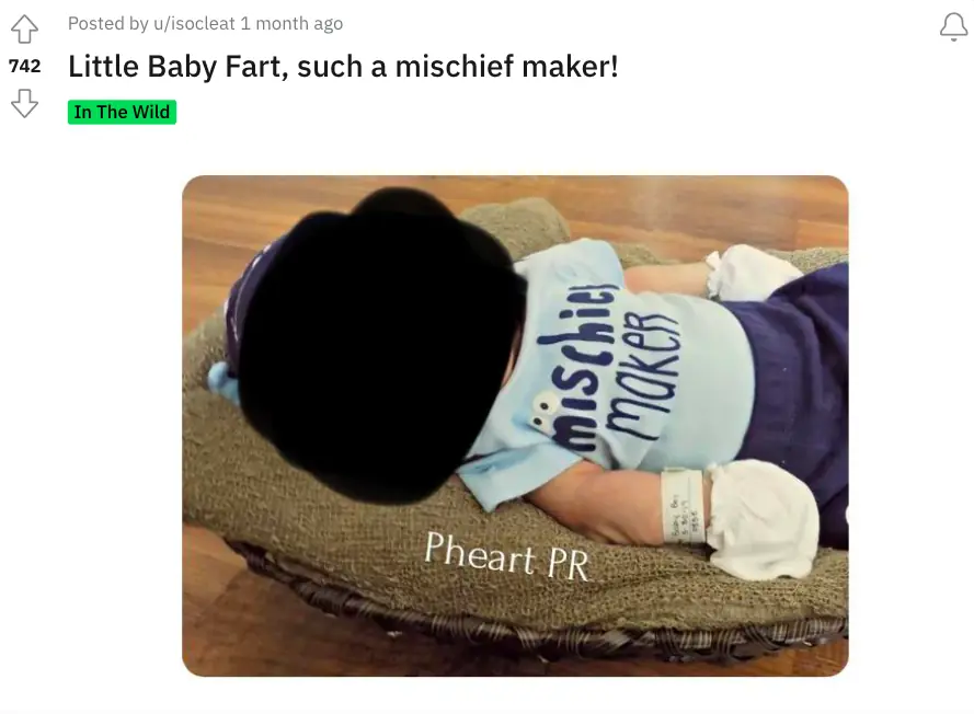 size-full wp-image-1263198240