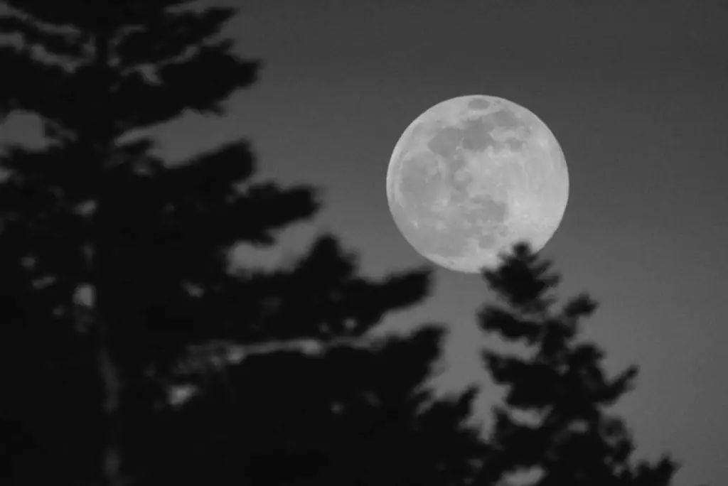 size-full wp-image-1263198862