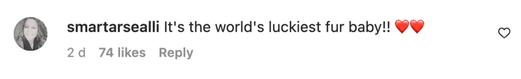 wp-image-1263199500 size-large