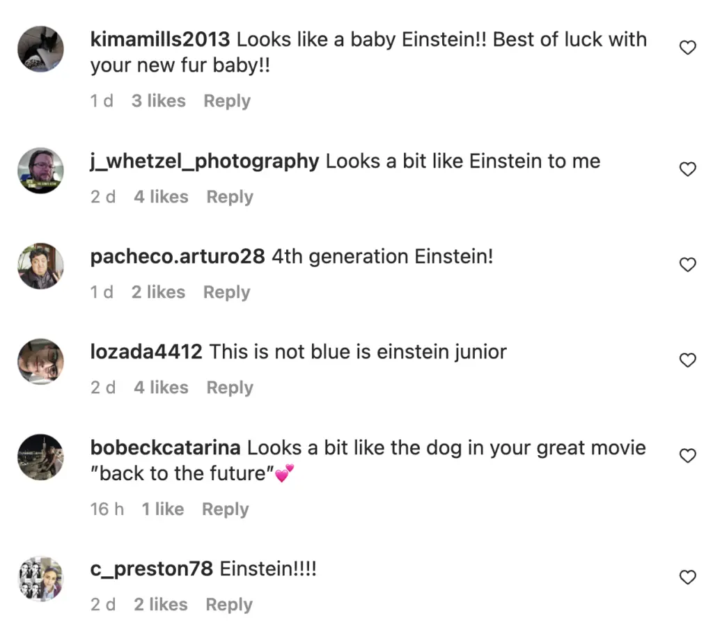 wp-image-1263199503 size-large