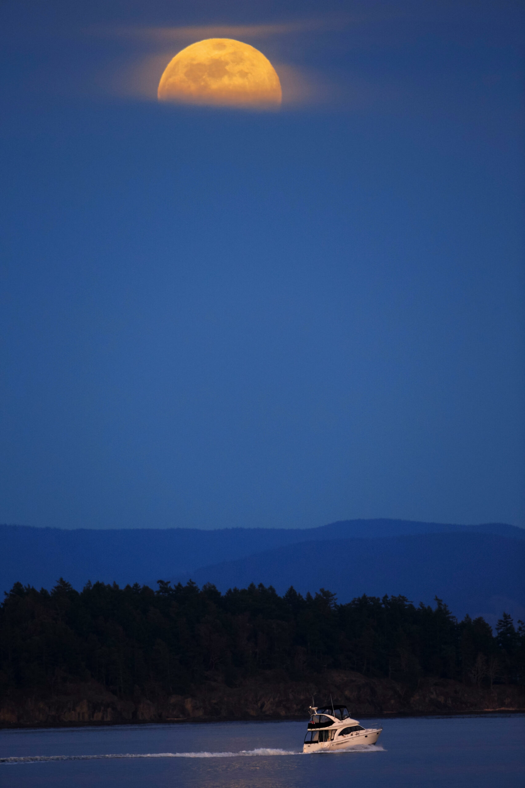 size-full wp-image-1263198863