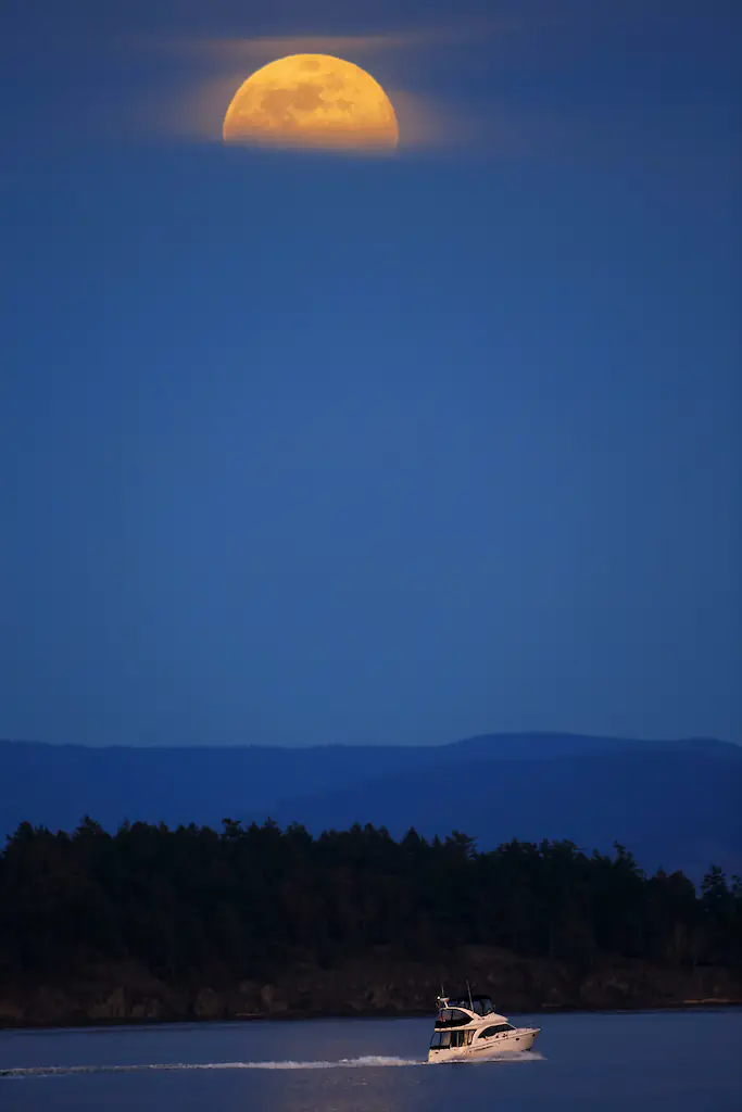 size-full wp-image-1263198863