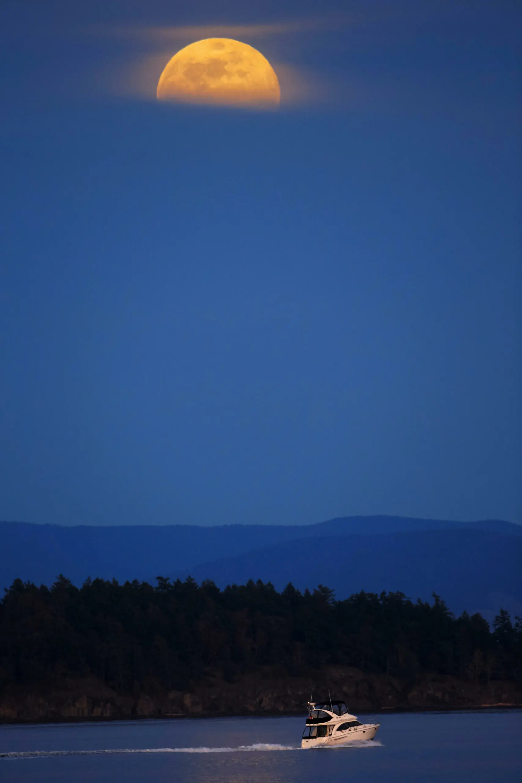 size-full wp-image-1263198863