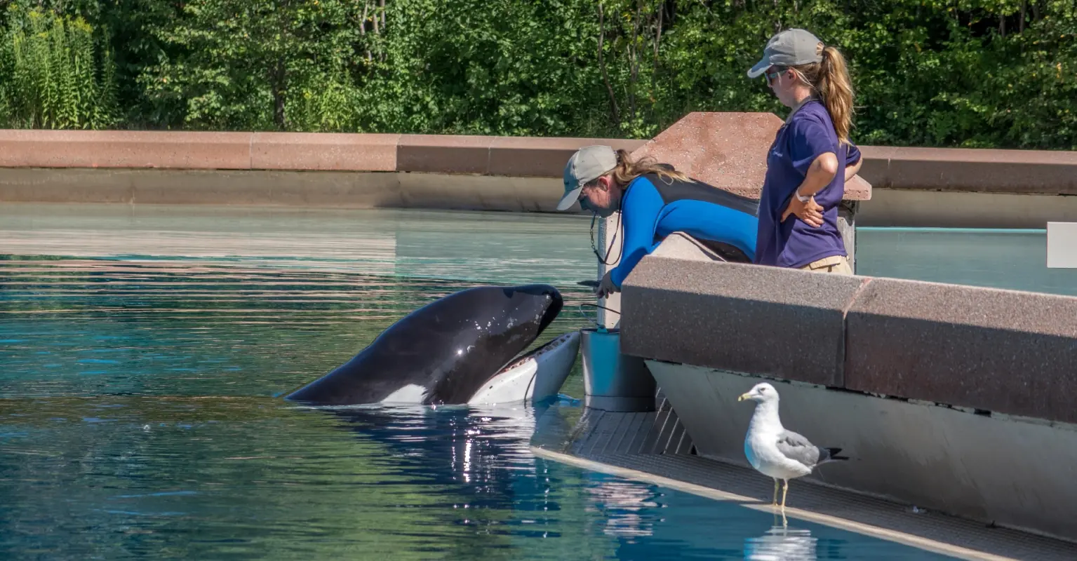 wp-image-1263200028 size-full