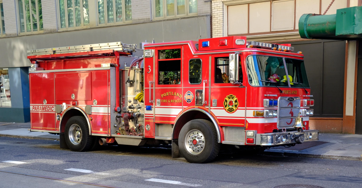 Firefighters save elderly dog after she fell 23 feet down utility hole while looking for treats