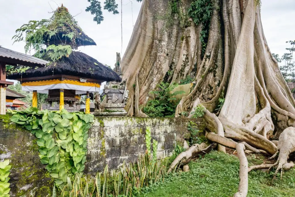 wp-image-1263206104 size-large