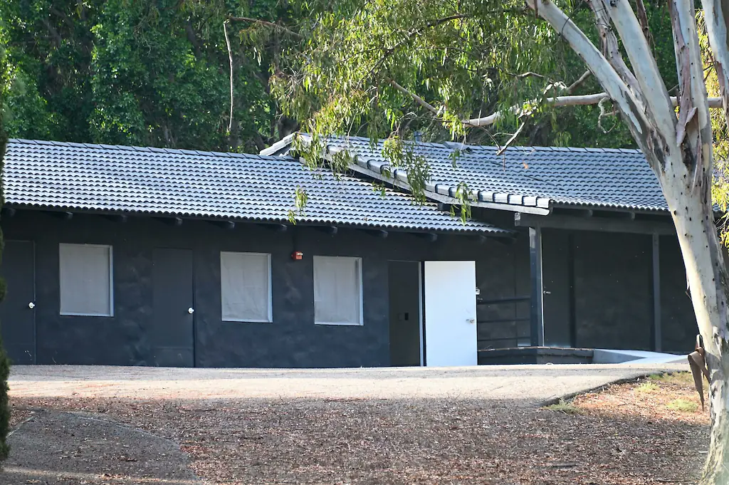 size-full wp-image-1263205229