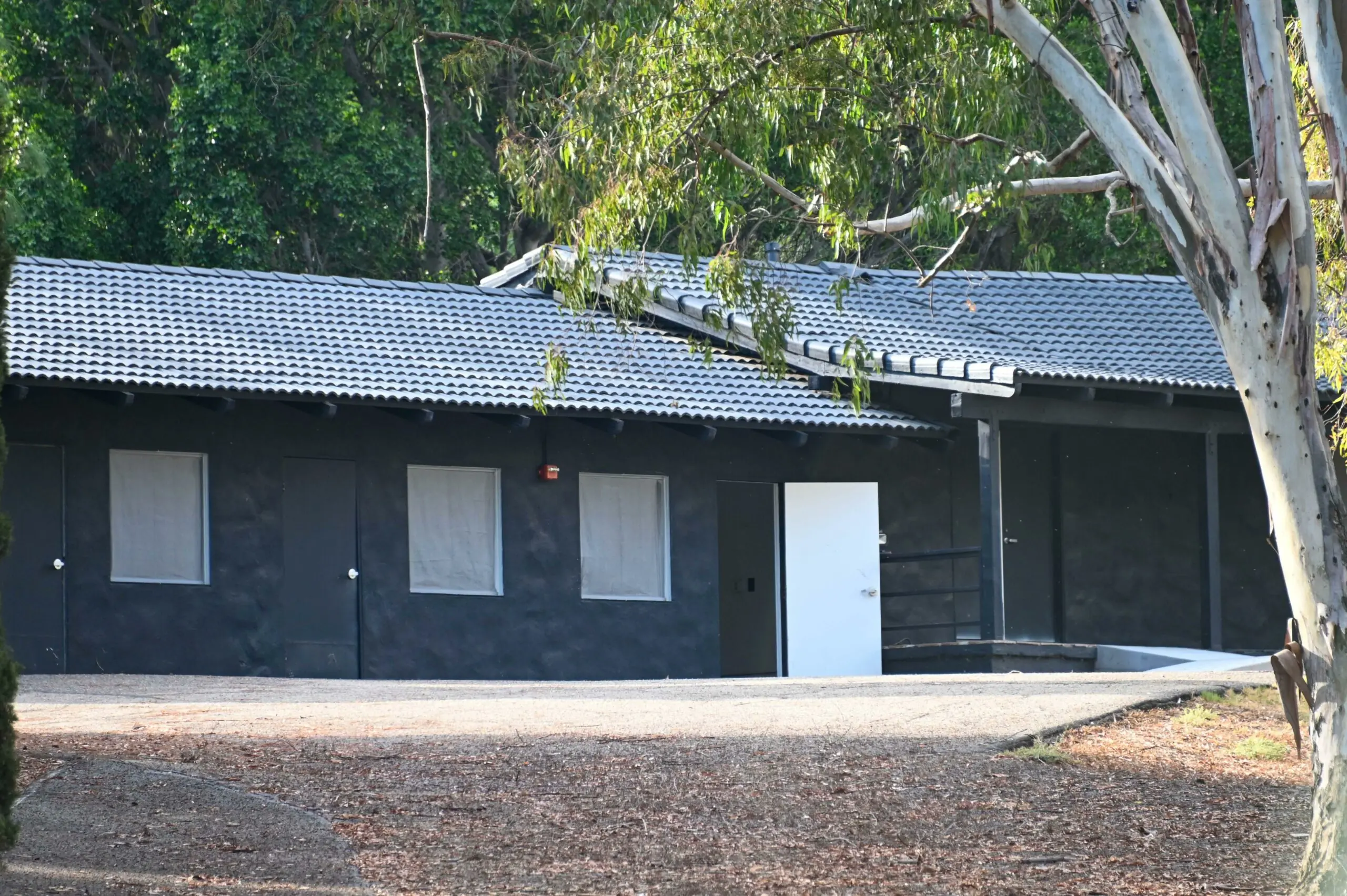 size-full wp-image-1263205229