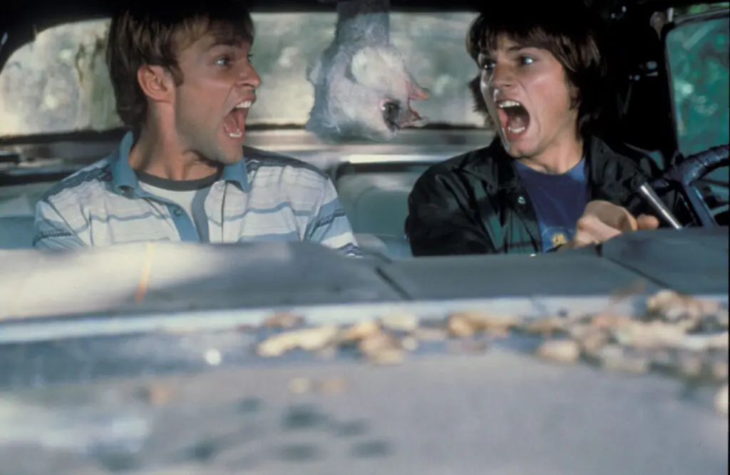 size-large wp-image-1263207538