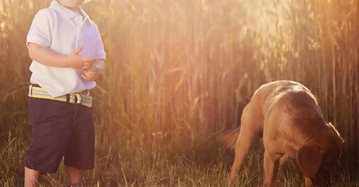 Video reveals dramatic moment lost 4-year-old boy and his faithful Labrador are rescued from woods