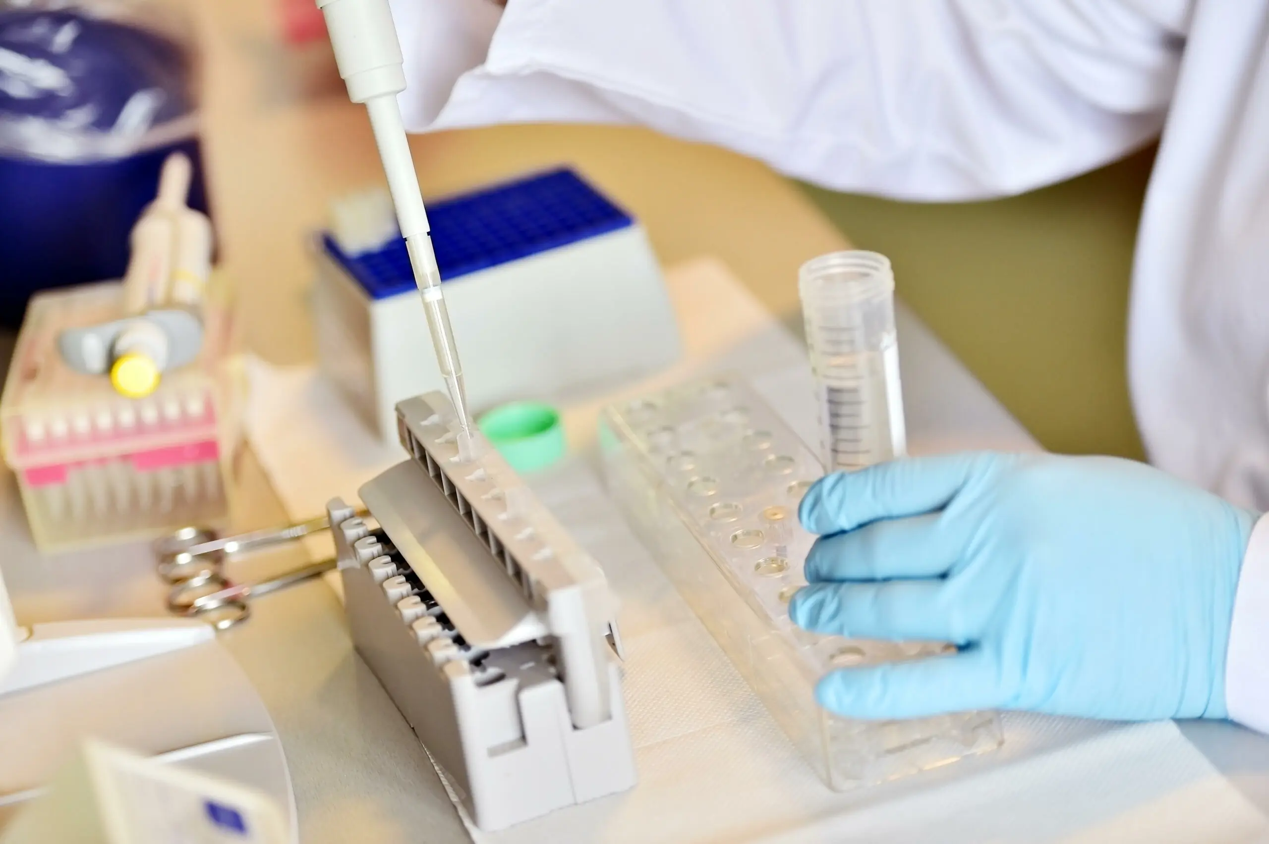 size-full wp-image-1263205336