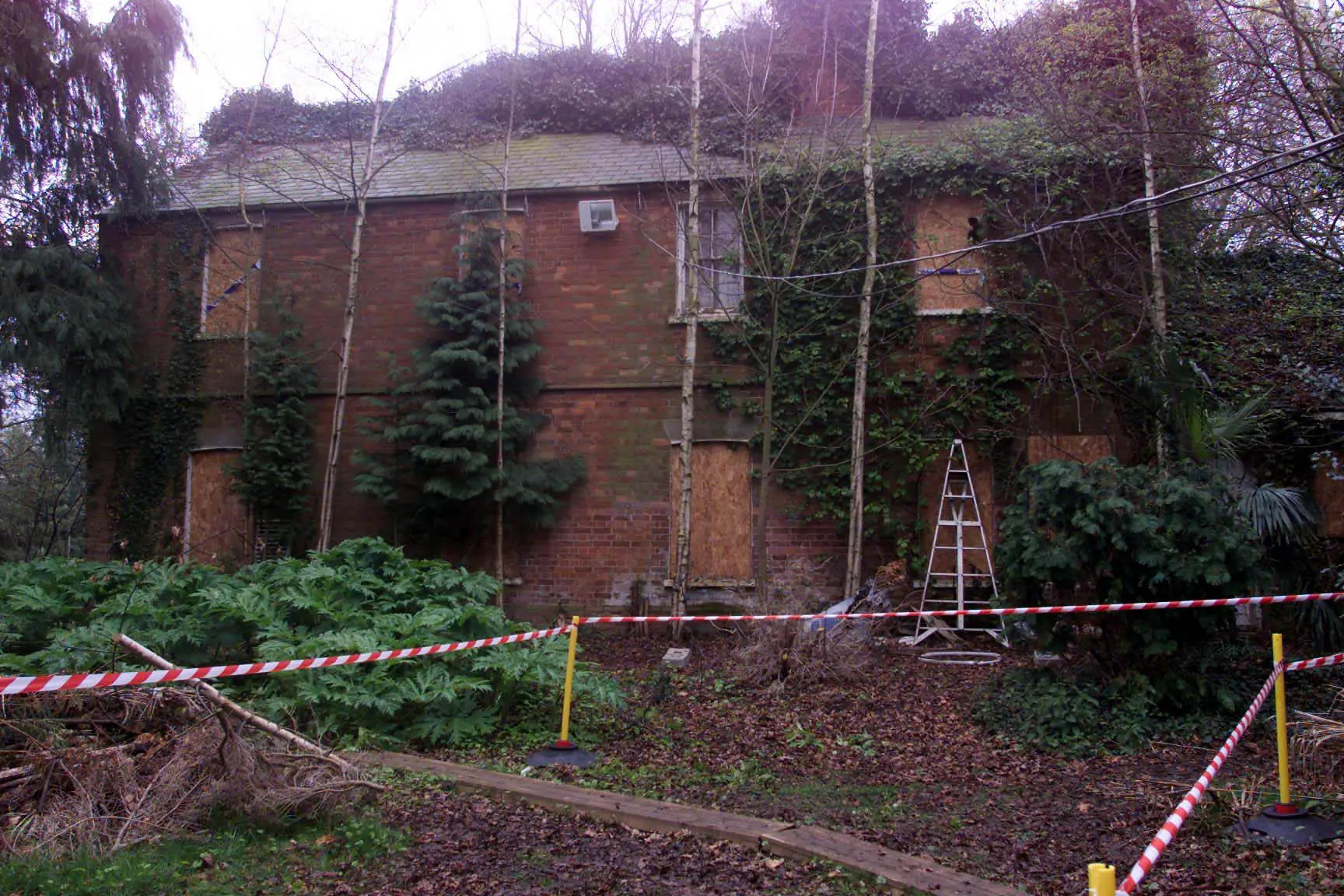 wp-image-1263209015 size-full