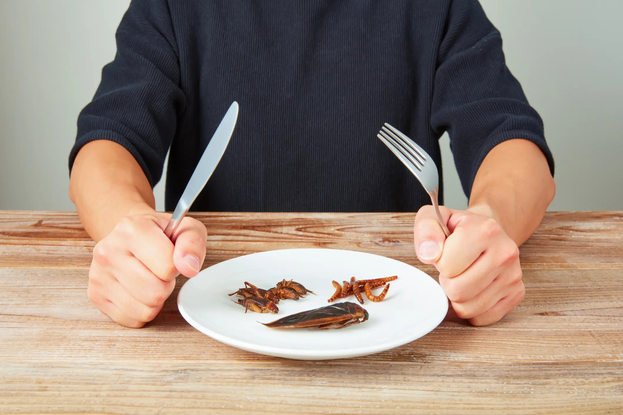 Mom admits she's saved hundreds on food bills after feeding daughter crickets - Article Image 2