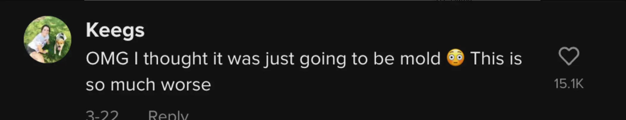 wp-image-1263204387 size-full