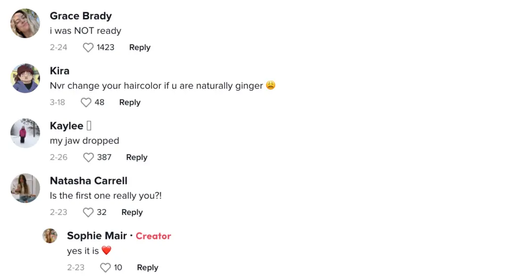 wp-image-1263204300 size-large