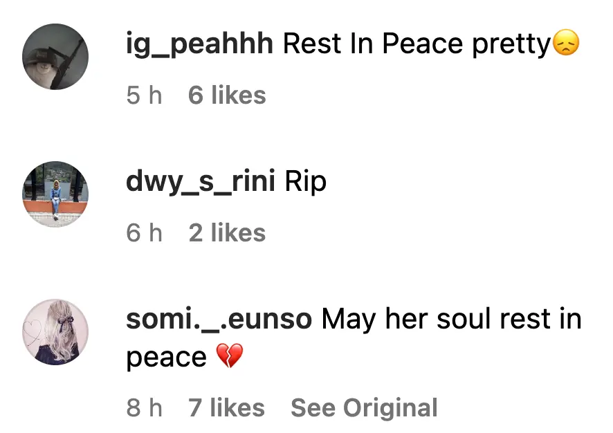 size-full wp-image-1263205690