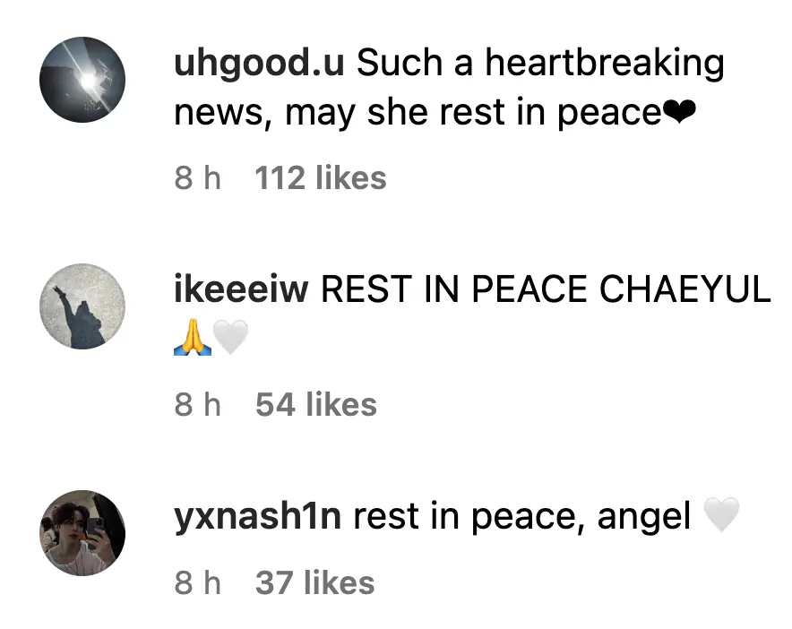 size-full wp-image-1263205691