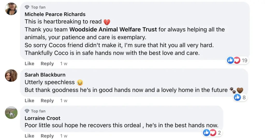 wp-image-1263205920 size-large