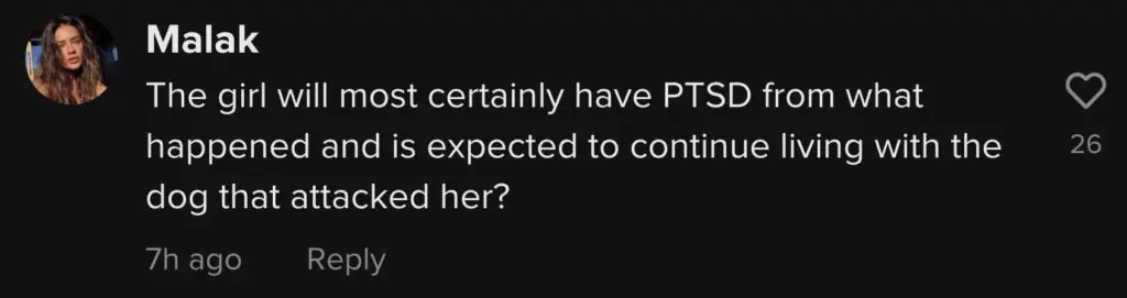 size-large wp-image-1263206465