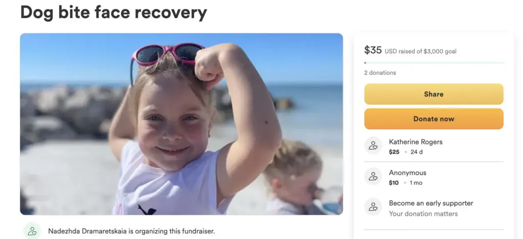 size-large wp-image-1263206468