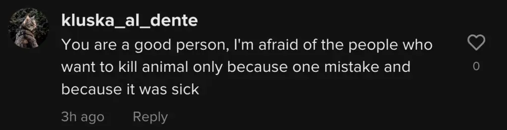 size-large wp-image-1263206472