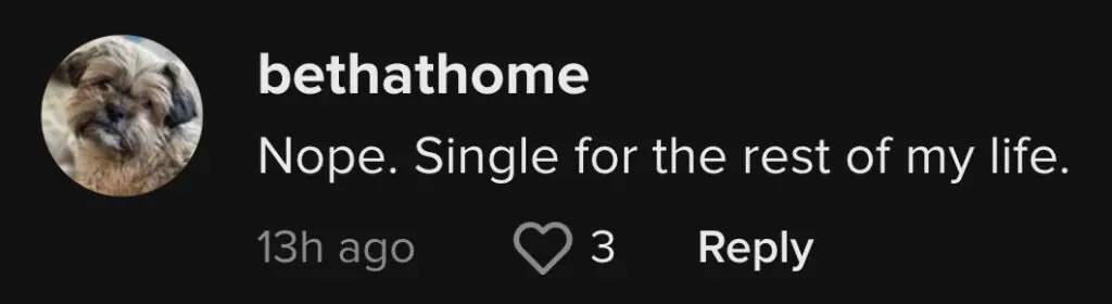 size-large wp-image-1263206541