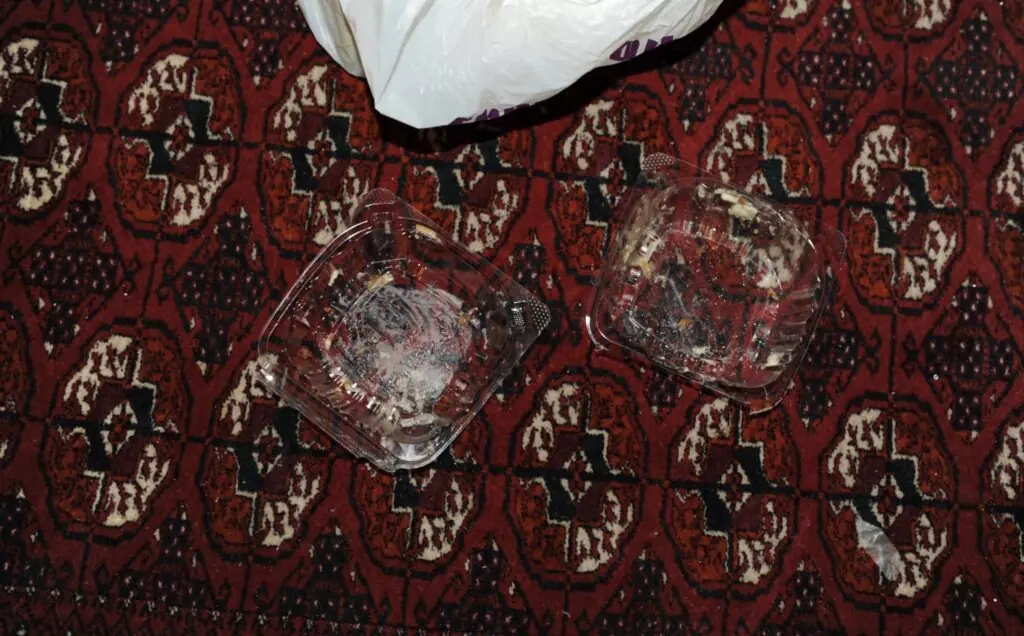 size-large wp-image-1263207586