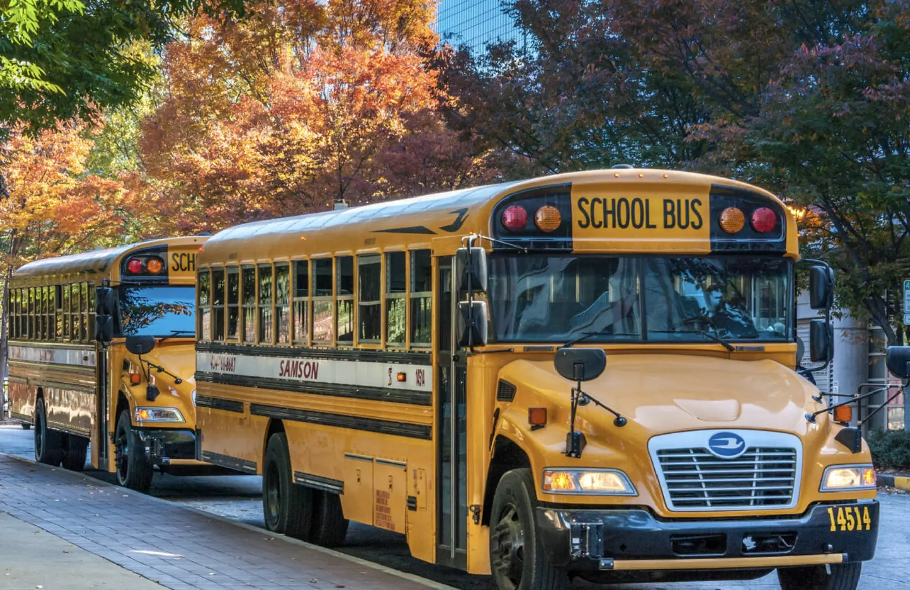 wp-image-1263207768 size-full