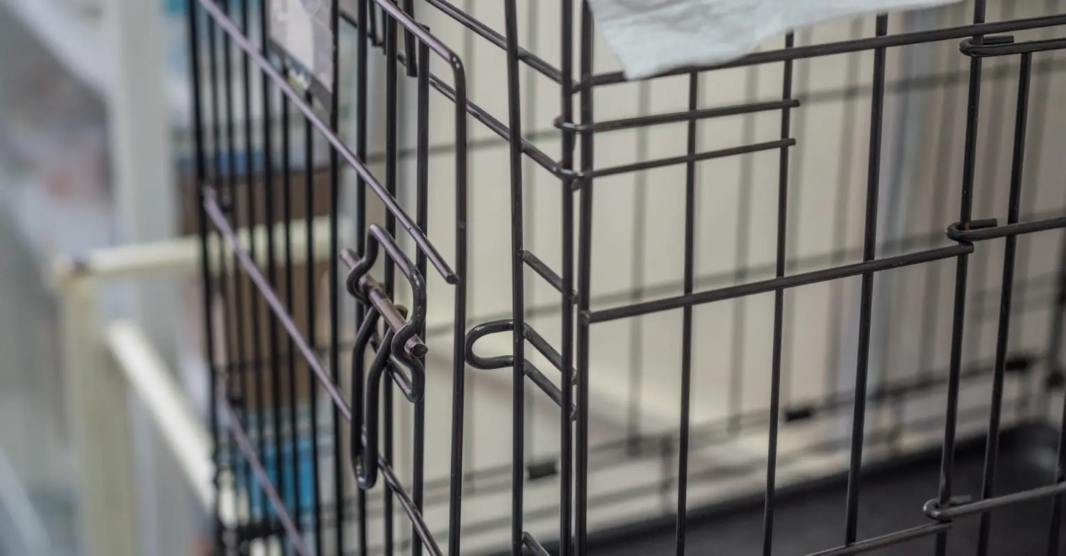 Woman who sleeps in dog kennel claps back at those who 'fetishize' her unusual bedtime routine