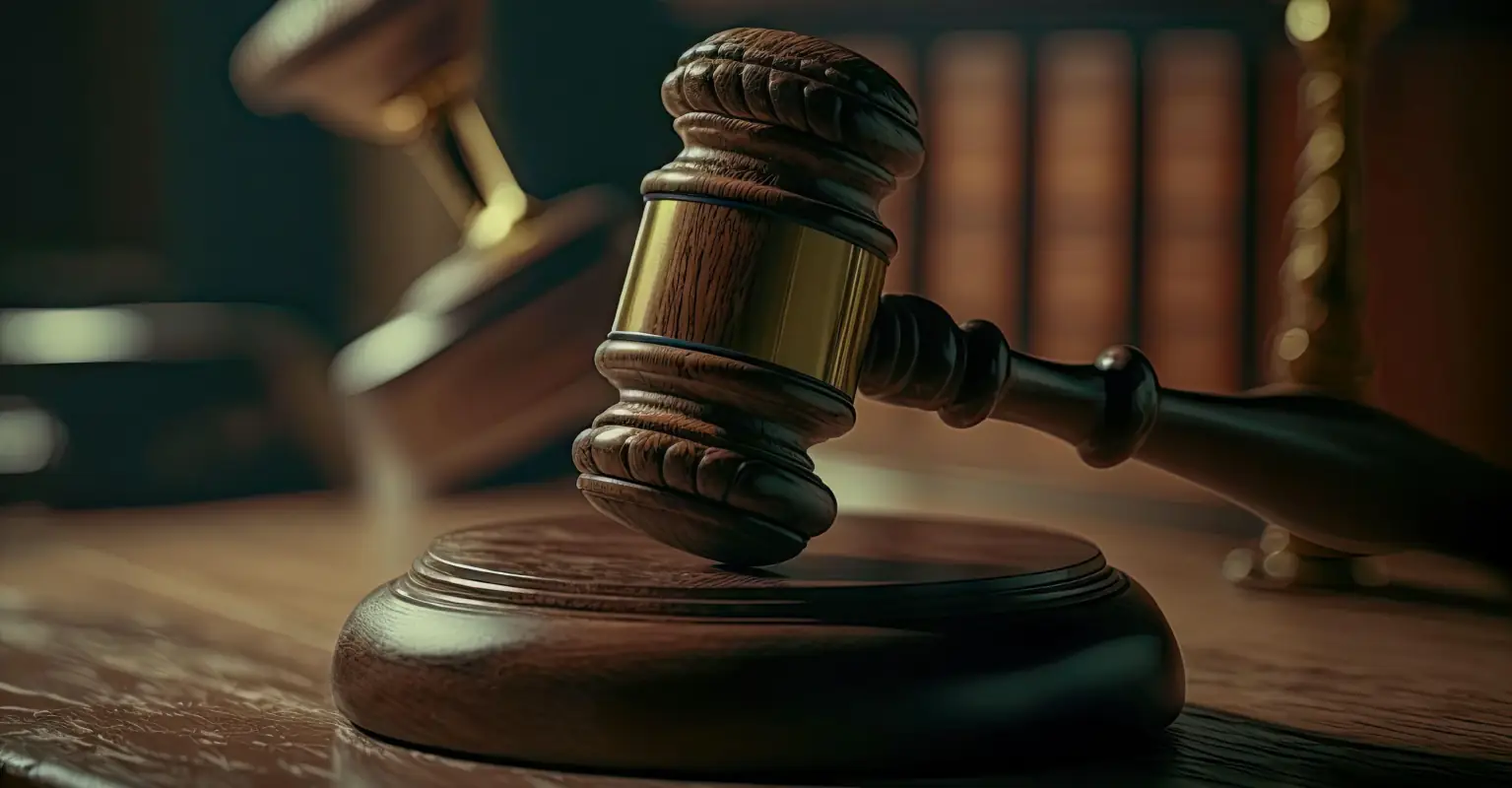 Family slam sentence given to woman who fatally ran over her own daughter and another woman