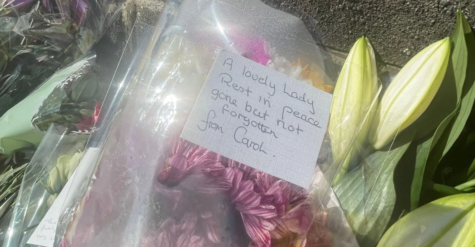 Boy, 12, smiles in court as he is accused of killing woman, 60, using her car